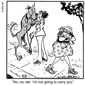 It's no "Marmaduke," for example.